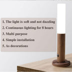 Motion Sensor Cabinet Light